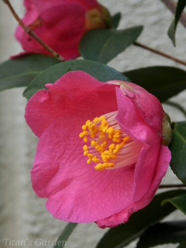 b0099813_07451.jpg