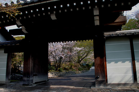 2014花めぐり38 龍安寺_e0048413_18101022.jpg