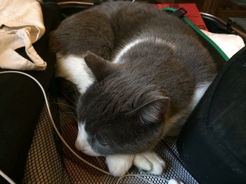 サンフランシスコでの、なんちゅうことないHAPPYな1日。_c0116714_18524663.jpg