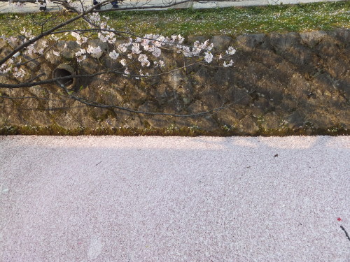 f0320815_16145122.jpg