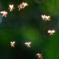 d0085018_12455989.jpg