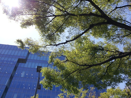 c0221922_9354833.jpg