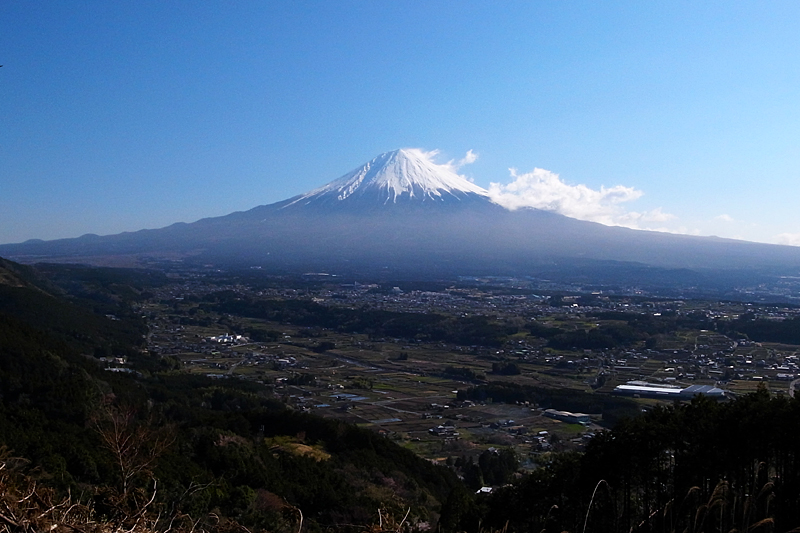 d0054625_2121496.jpg