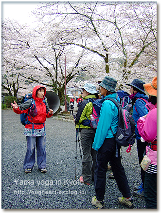 お山でヨガ４月☆休日編 大文字山報告_f0086825_6201860.jpg