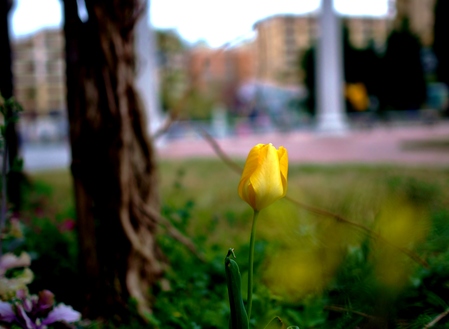 a0318033_21425272.jpg