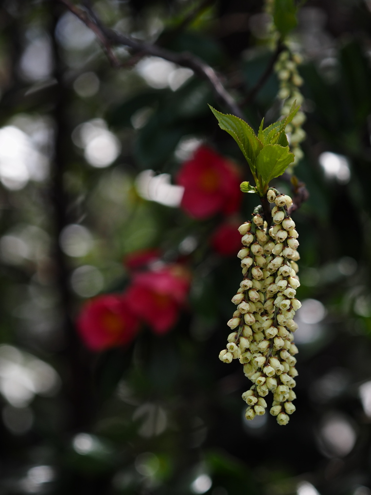b0201233_233415100.jpg