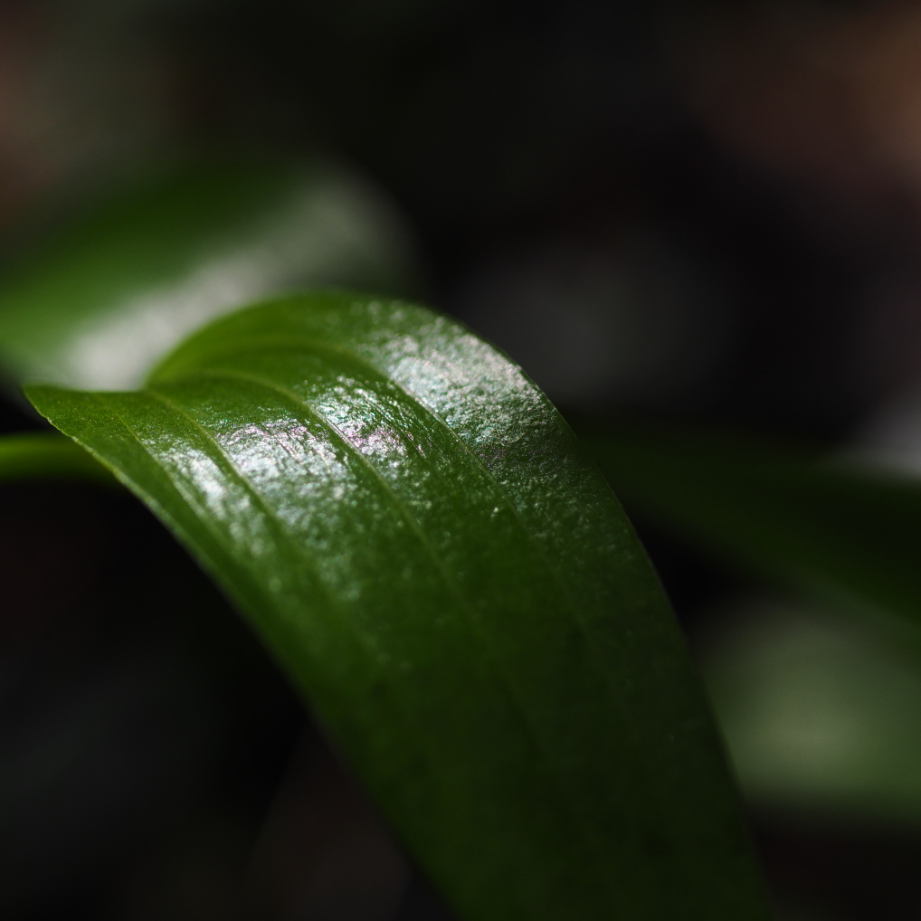 b0201233_23364288.jpg