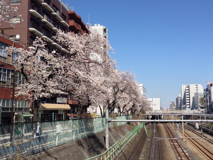 桜・駆け足_e0081334_473311.jpg