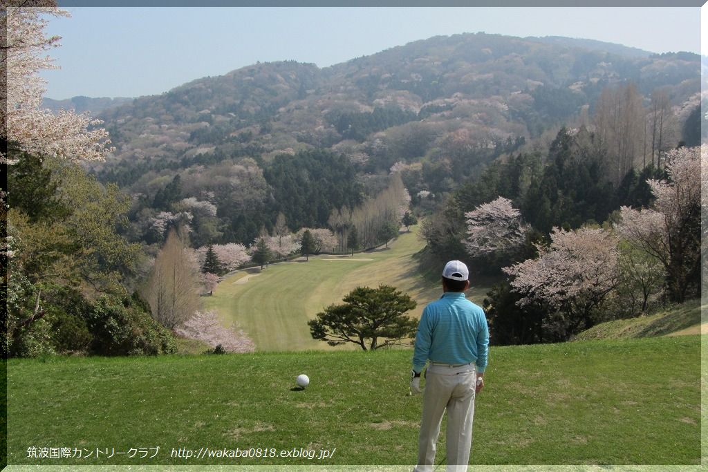 山桜が綺麗でした！！！_e0052135_22161443.jpg