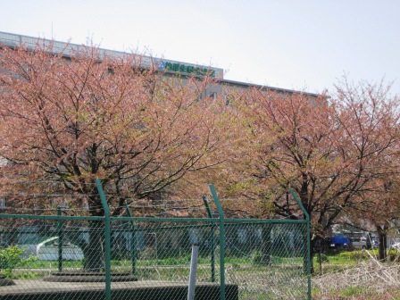 御無沙汰致しました。_c0206545_11505552.jpg