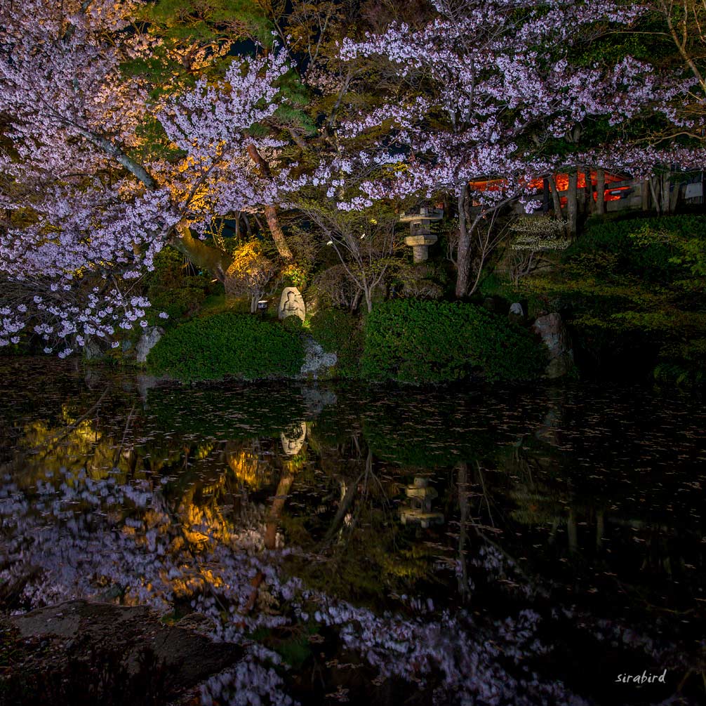 ４．夕暮れの清水寺（京都・洛東）_d0238245_20061340.jpg