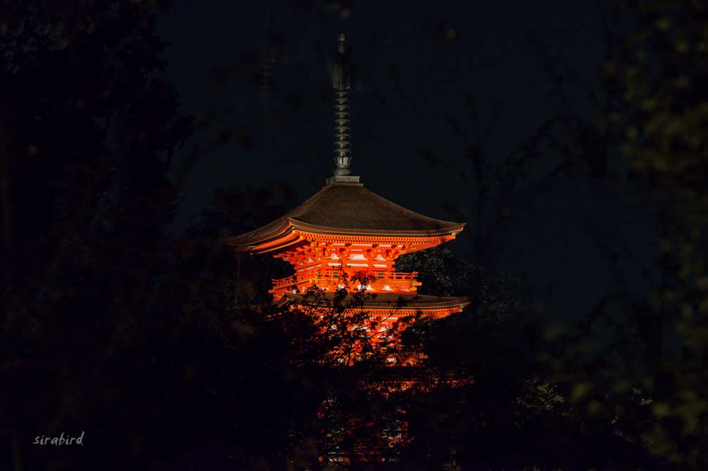 ４．夕暮れの清水寺（京都・洛東）_d0238245_21433361.jpg