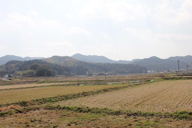 【老松神社】 　オオクニヌシとスクナビコナが逗留した地_c0011649_0144421.jpg