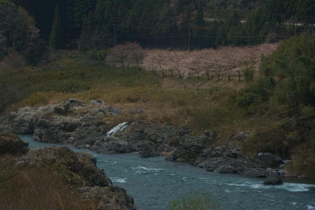 春のローカル鉄道旅2014。 その2_a0055650_230887.jpg