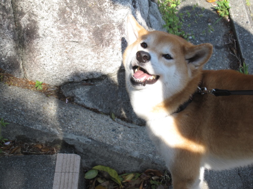 f0245650_10494016.jpg