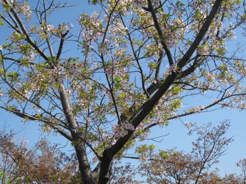 f0245650_10510645.jpg