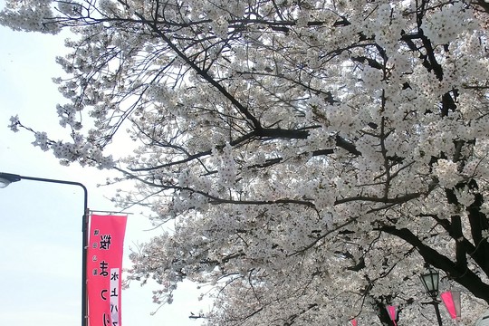 d0212451_1743155.jpg