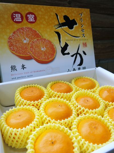 究極の柑橘「せとか」 平成31年度発送分いよいよ残りわずか!!&まもなく始まる匠の選定作業!_a0254656_18155760.jpg