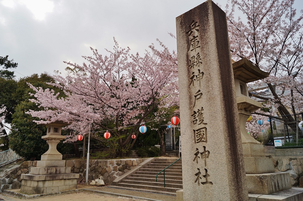 神戸護国神社の桜 たんぶーらんの戯言