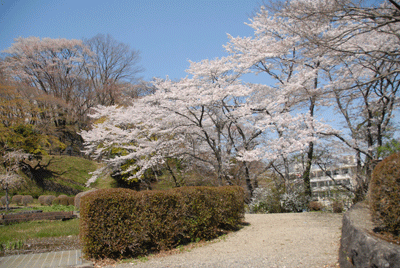 b0174462_22483653.gif