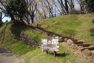 b0174462_2249078.gif