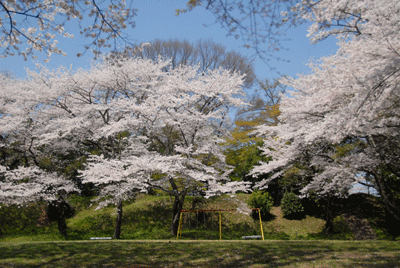 b0174462_225041.gif
