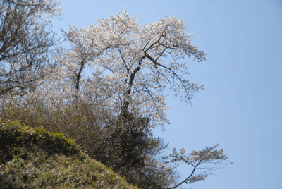 b0174462_22531413.gif