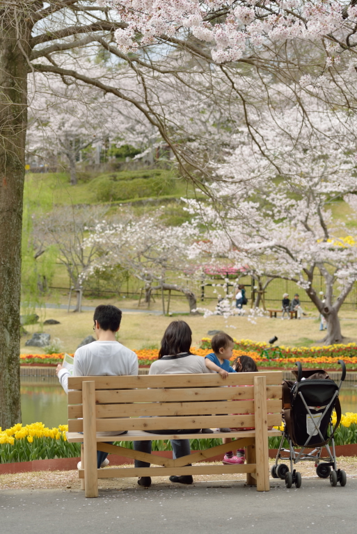 SAKURA 2014      4_e0293862_20444340.jpg