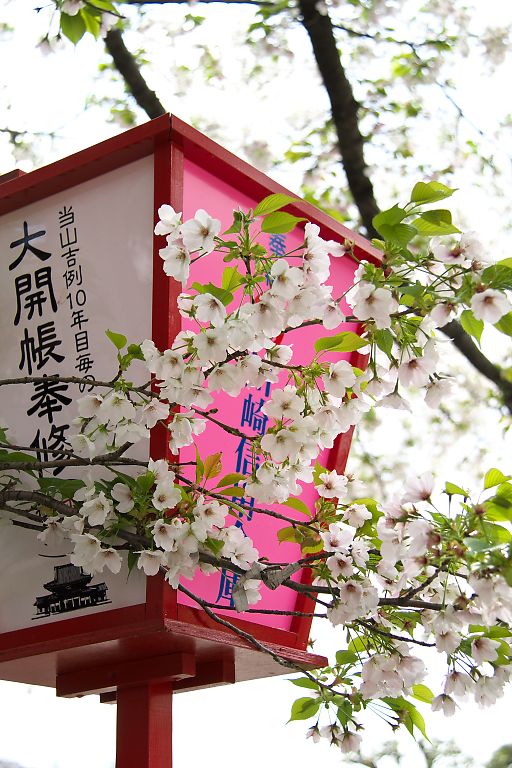 川崎　川崎大師・平間寺　花祭り週間（４月６日）_c0057265_319043.jpg