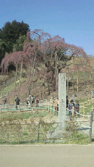b0063468_1155478.jpg