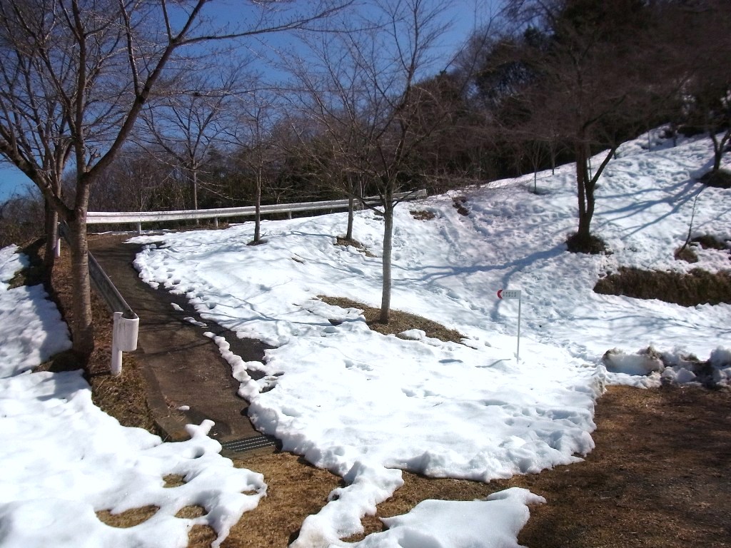 2014/03/08　郷司山　御春山　前編_d0233770_1120277.jpg