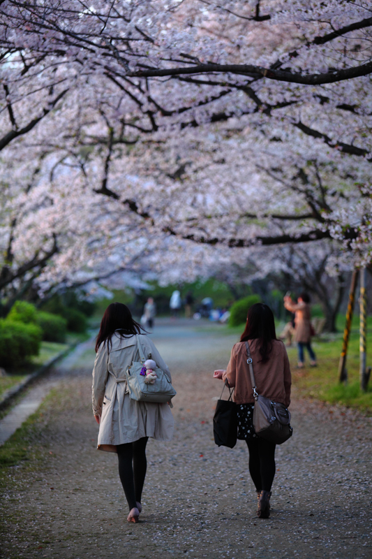 舞鶴公園 福岡城さくらまつり お昼_e0184970_14274986.jpg