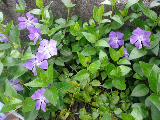 c0228378_176261.jpg