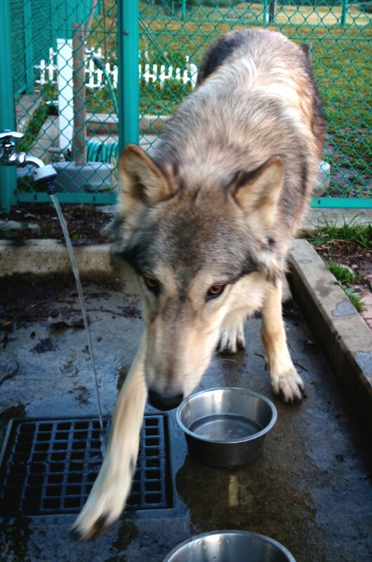 f0230380_26646.jpg