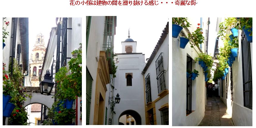 c0111581_2226492.jpg
