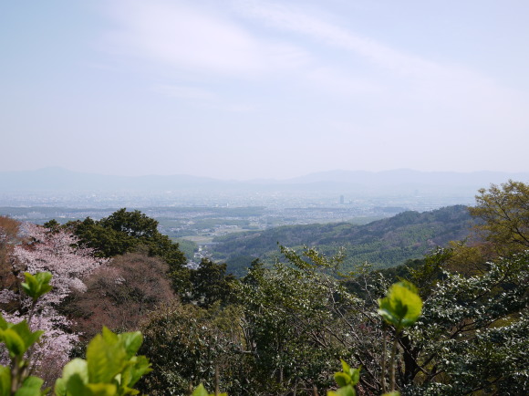 善峯寺へ行ってきた_b0018784_00311190.jpg