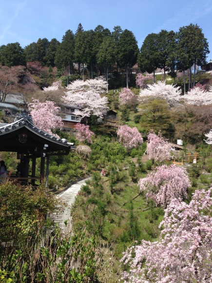 善峯寺へ行ってきた_b0018784_00322616.jpg