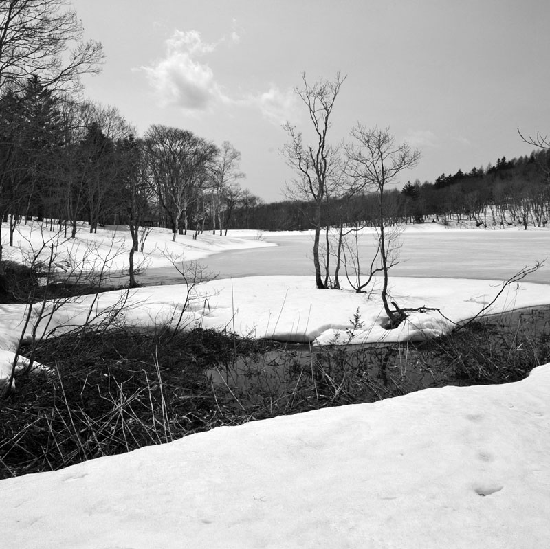 c0229384_11371488.jpg