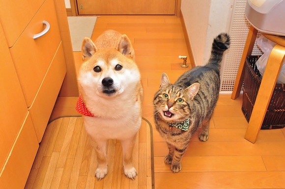 午後7時 7:00PM_a0126590_23143243.jpg