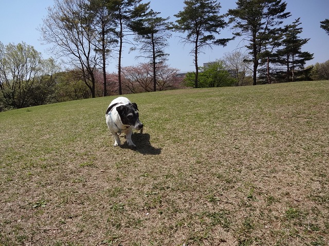 d0050290_020550.jpg