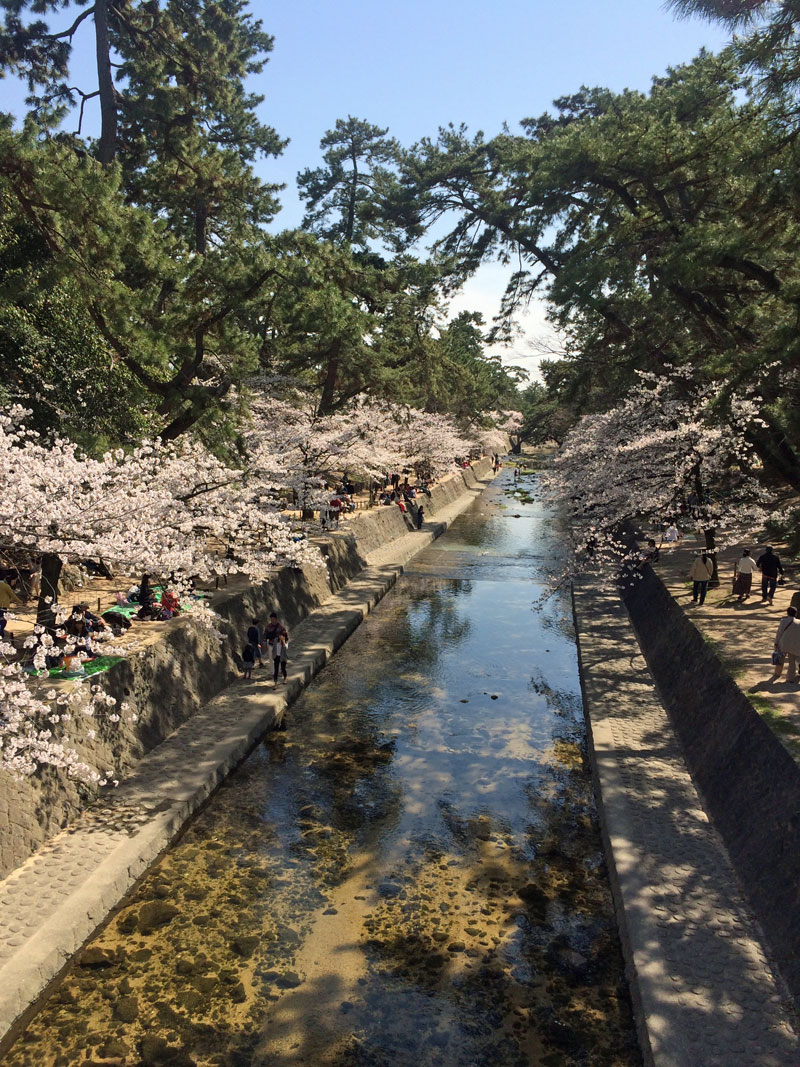 b0019591_16473819.jpg
