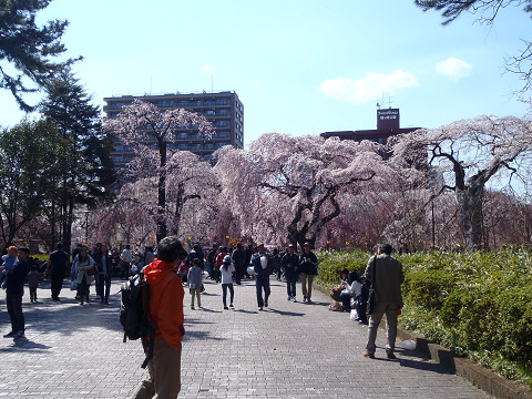 b0074601_23491738.jpg