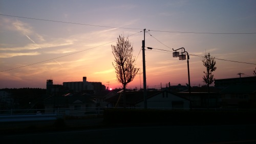 カニと夕陽のお話_f0192306_09332489.jpg