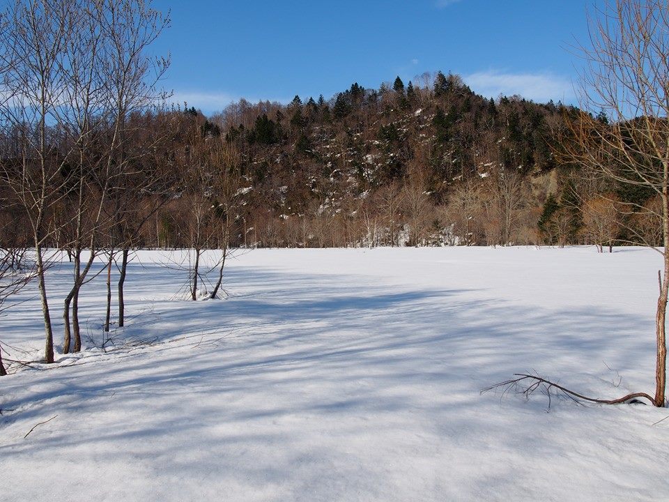 d0119909_10184149.jpg