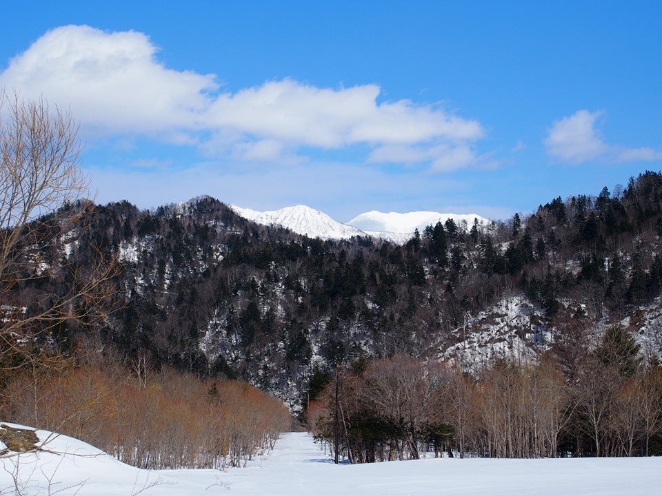 d0119909_10203231.jpg