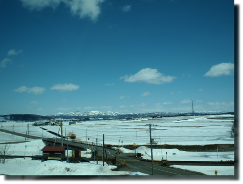 a0114514_19122287.png