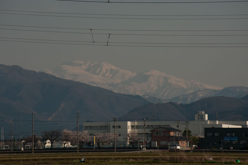 a0278914_447320.jpg
