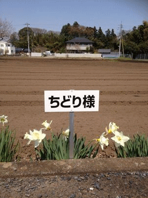a0251920_1323060.gif