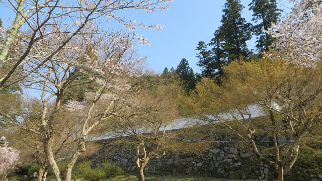 c0280322_14080877.jpg