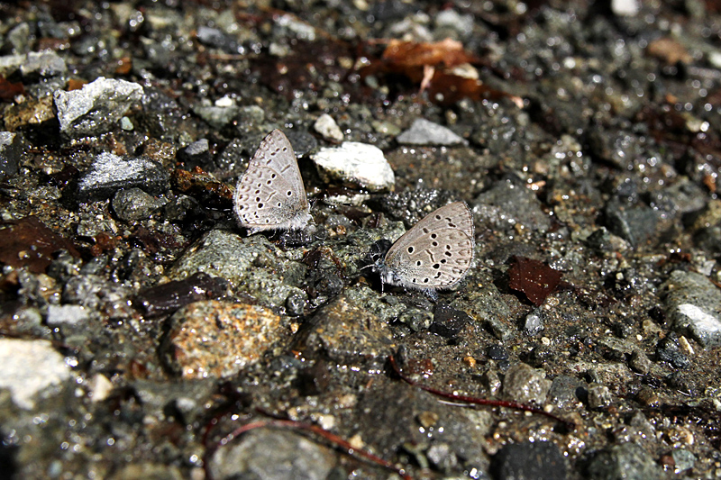 d0054625_2012624.jpg